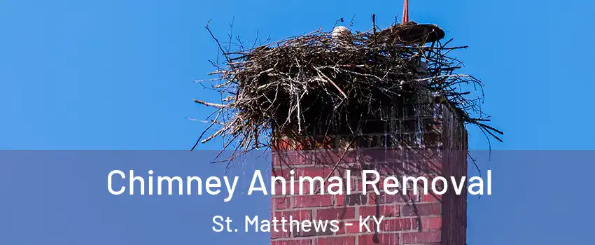  Chimney Animal Removal St. Matthews - KY