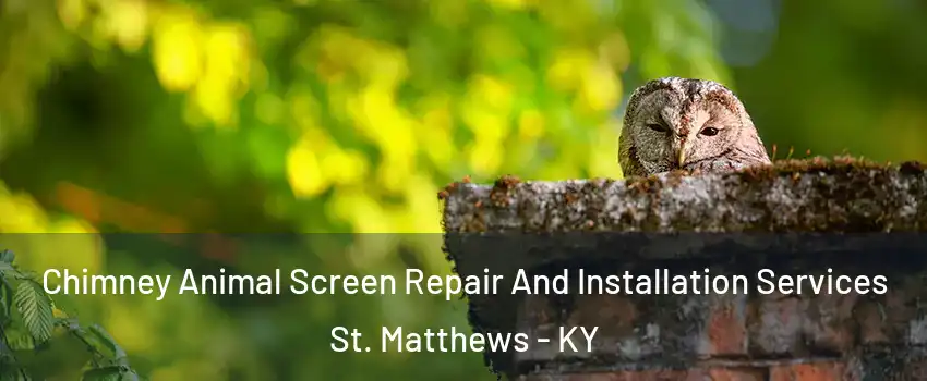  Chimney Animal Screen Repair And Installation Services St. Matthews - KY