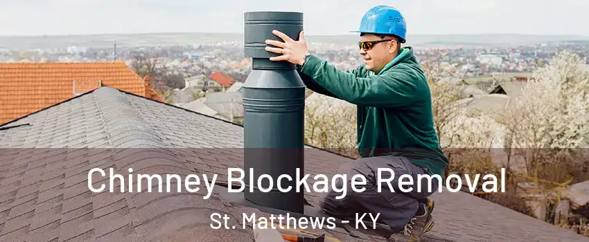  Chimney Blockage Removal St. Matthews - KY
