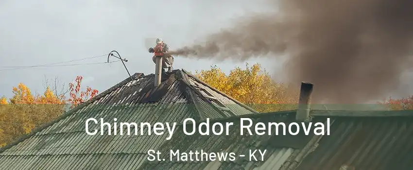  Chimney Odor Removal St. Matthews - KY