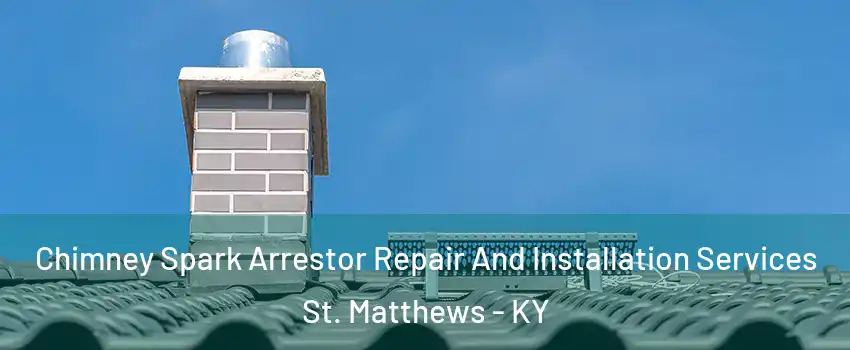  Chimney Spark Arrestor Repair And Installation Services St. Matthews - KY