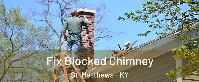 Fix Blocked Chimney St. Matthews - KY