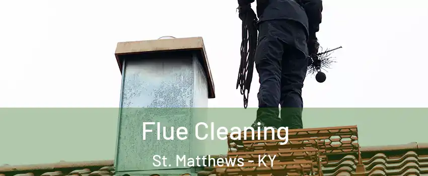  Flue Cleaning St. Matthews - KY