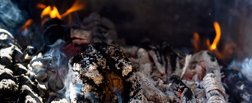 Creosote Removal Experts in St. Matthews, KY