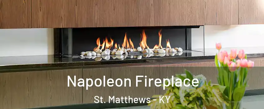  Napoleon Fireplace St. Matthews - KY